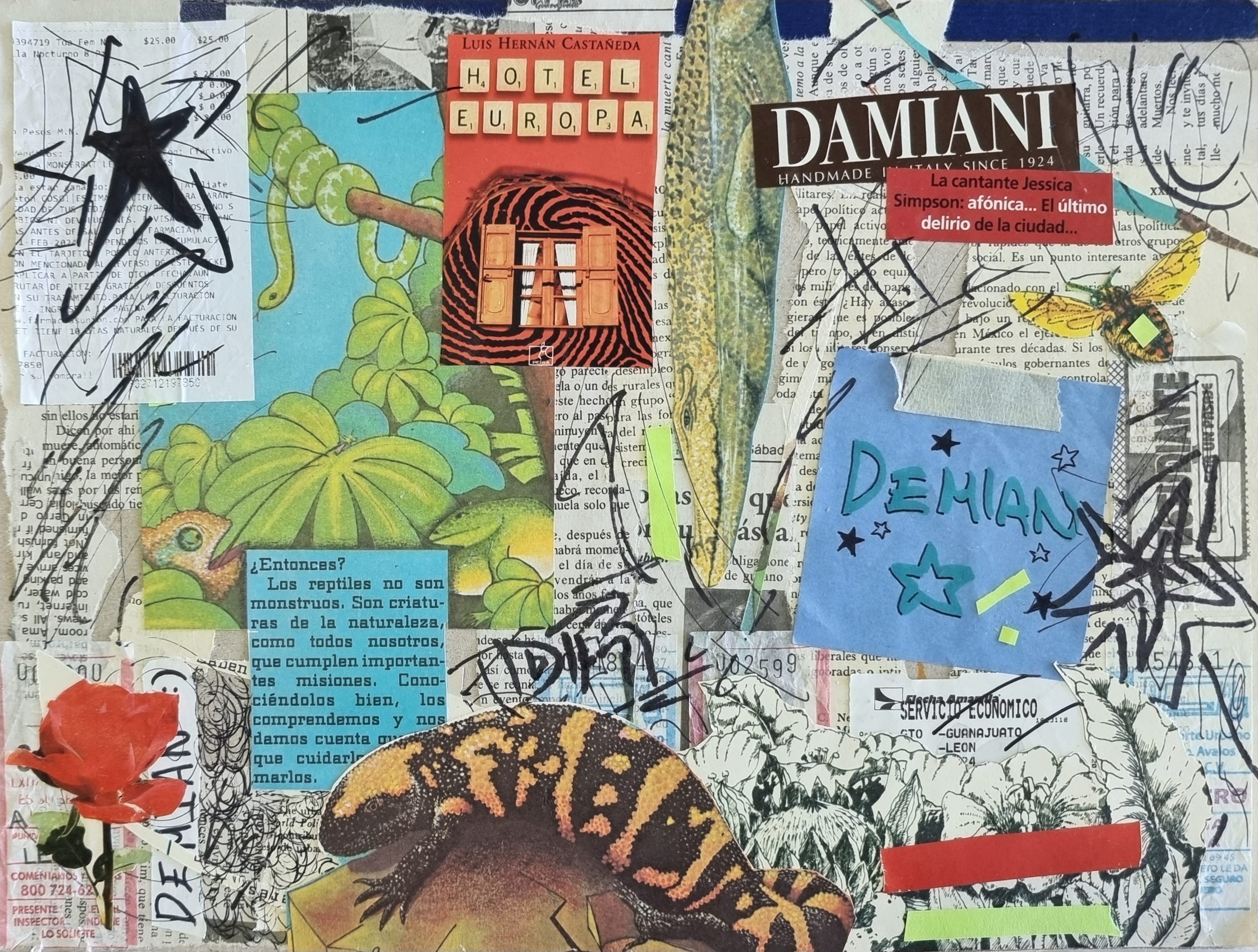 Collage 7